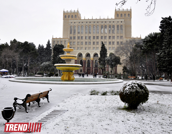 Заснеженный Баку (фотосессия)