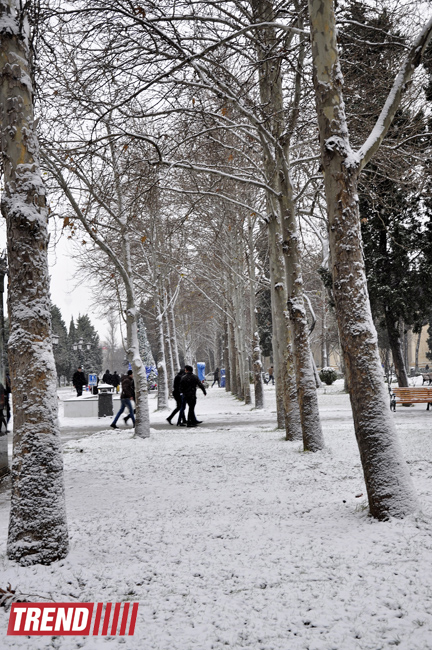 Заснеженный Баку (фотосессия)