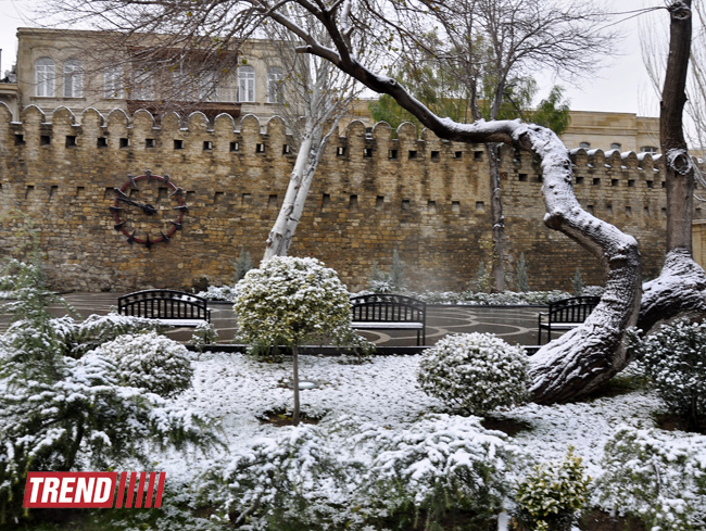 Заснеженный Баку (фотосессия)