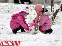 Заснеженный Баку (фотосессия)