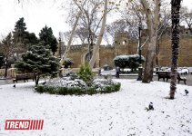 Заснеженный Баку (фотосессия)