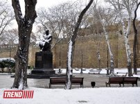 Заснеженный Баку (фотосессия)