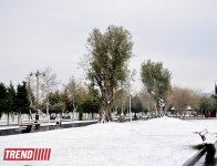 Заснеженный Баку (фотосессия)