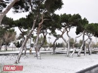 Заснеженный Баку (фотосессия)