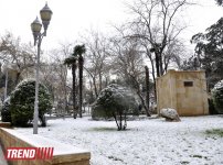 Заснеженный Баку (фотосессия)