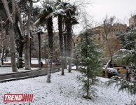 Заснеженный Баку (фотосессия)