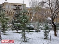 Заснеженный Баку (фотосессия)