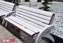 Заснеженный Баку (фотосессия)