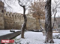 Заснеженный Баку (фотосессия)