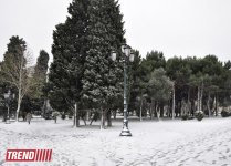 Заснеженный Баку (фотосессия)