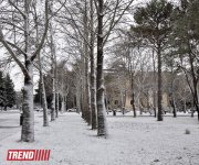 Заснеженный Баку (фотосессия)