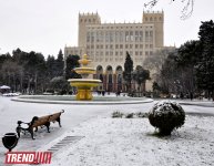 Заснеженный Баку (фотосессия)