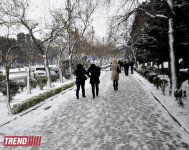 Заснеженный Баку (фотосессия)