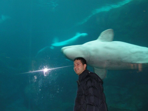 Телеведущий Идрис Джафаров рассказал о путешествии на остров в Атлантическом океане (фото)