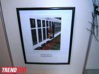 В Баку открылась выставка "Языком фотографий" - очевидцы трагедии 20 января (фото)