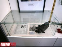 В Баку открылась выставка "Языком фотографий" - очевидцы трагедии 20 января (фото)