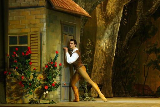 В Баку с успехом представлен балет "Жизель" в исполнении солистов Михайловского театра (фото)