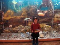 Бакинские школьники принимают участие в конкурсе "Музей истории глазами детей" (фотосессия)