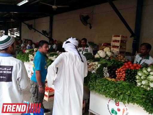 Путешествие по Дубаю: небоскребы, достопримечательности, местный колорит - глазами азербайджанца (фотосессия)