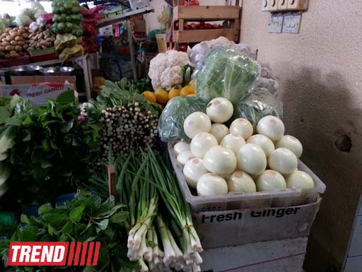 Путешествие по Дубаю: небоскребы, достопримечательности, местный колорит - глазами азербайджанца (фотосессия)