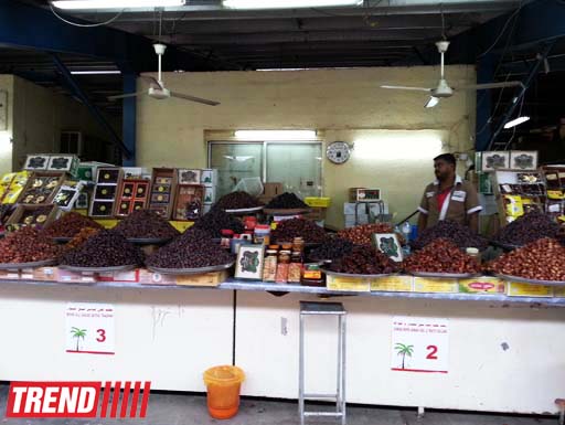 Путешествие по Дубаю: небоскребы, достопримечательности, местный колорит - глазами азербайджанца (фотосессия)