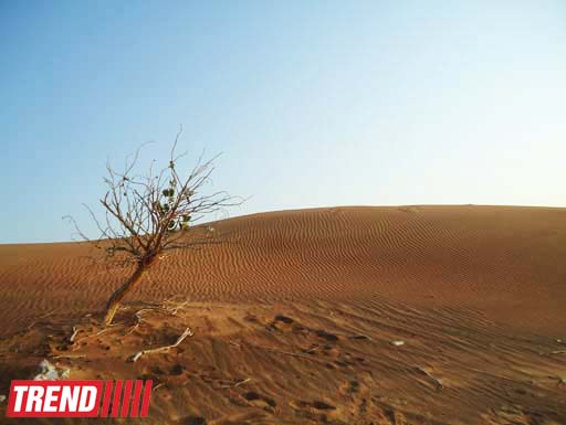 Путешествие по Дубаю: небоскребы, достопримечательности, местный колорит - глазами азербайджанца (фотосессия)