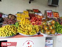 Путешествие по Дубаю: небоскребы, достопримечательности, местный колорит - глазами азербайджанца (фотосессия)