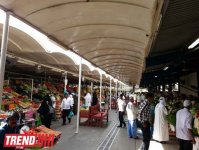 Путешествие по Дубаю: небоскребы, достопримечательности, местный колорит - глазами азербайджанца (фотосессия)