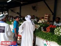 Путешествие по Дубаю: небоскребы, достопримечательности, местный колорит - глазами азербайджанца (фотосессия)