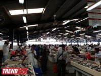 Путешествие по Дубаю: небоскребы, достопримечательности, местный колорит - глазами азербайджанца (фотосессия)