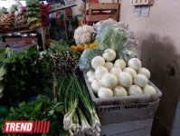 Путешествие по Дубаю: небоскребы, достопримечательности, местный колорит - глазами азербайджанца (фотосессия)