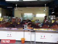 Путешествие по Дубаю: небоскребы, достопримечательности, местный колорит - глазами азербайджанца (фотосессия)