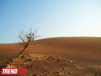 Путешествие по Дубаю: небоскребы, достопримечательности, местный колорит - глазами азербайджанца (фотосессия)