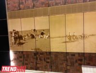 Путешествие по Дубаю: уникальное метро без машинистов и спецвагоны - глазами азербайджанца (фотосессия)