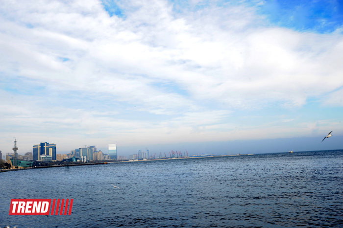 Бакинская бухта (фотосессия)