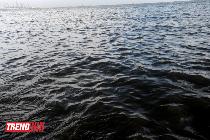 Бакинская бухта (фотосессия)