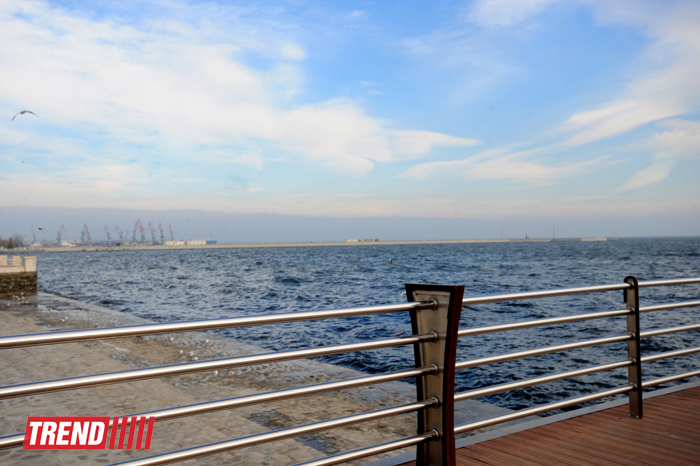 Бакинская бухта (фотосессия)