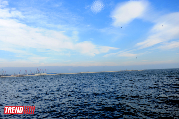 Бакинская бухта (фотосессия)