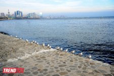 Бакинская бухта (фотосессия)