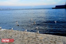 Бакинская бухта (фотосессия)