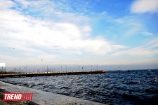 Бакинская бухта (фотосессия)