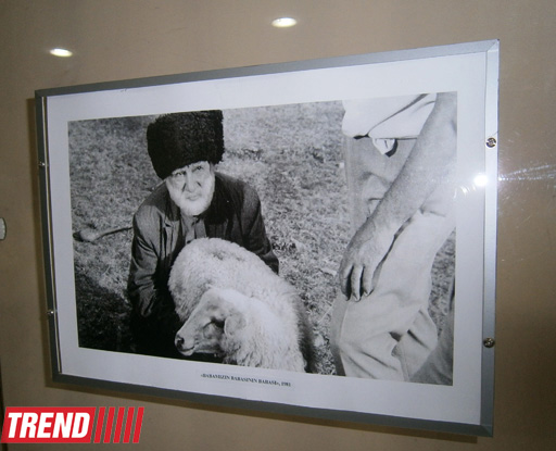 В Баку прошел вечер памяти Гусейнаги Садыхова: "Его фильмы учат добру и пониманию" (фото)