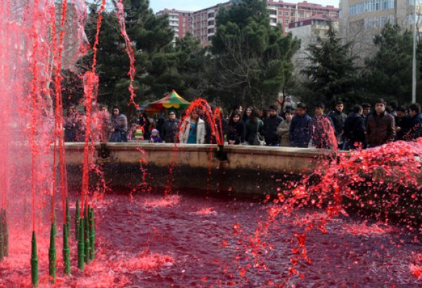В Баку прошла креативная акция "Неделя лейкемии" (видео-фото)