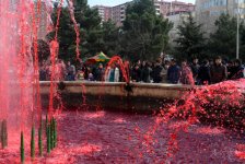 В Баку прошла креативная акция "Неделя лейкемии" (видео-фото)