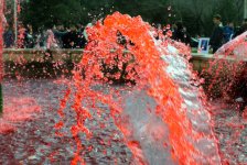 В Баку прошла креативная акция "Неделя лейкемии" (видео-фото)