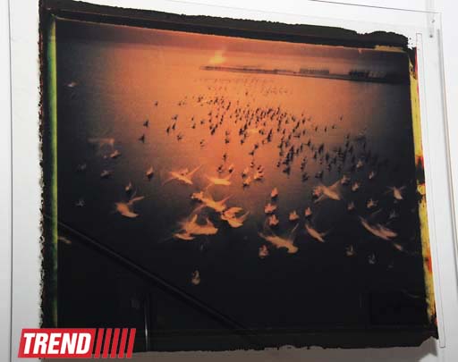 В Баку в галерее YAY состоялось открытие выставки Санана Алескерова "Прозрачность простоты" (фото)