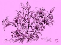 Бакинские школьники посвятили свои работы бабушкам, матерям и сестрам (фотосессия)