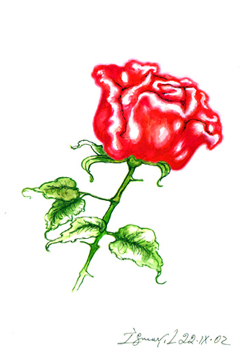 Бакинские школьники посвятили свои работы бабушкам, матерям и сестрам (фотосессия)