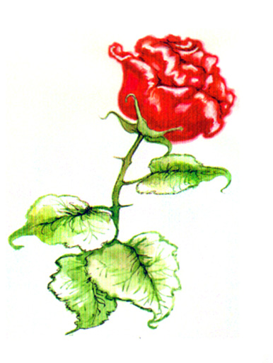 Бакинские школьники посвятили свои работы бабушкам, матерям и сестрам (фотосессия)