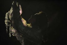 Бакинский детский театр представил спектакль на фестивале в Турции